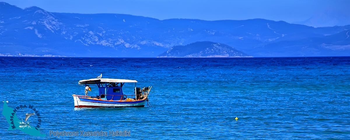 04-polychrono-nikon2012-14697-ps-cut-1200-logo